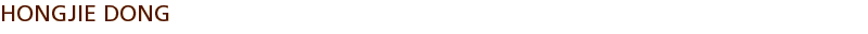 HONGJIE DONG